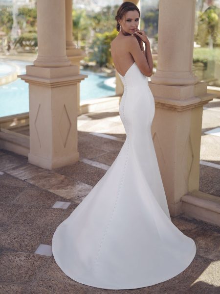 STELLA - Image 5