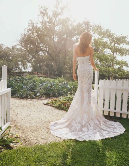 JESS - Image 3
